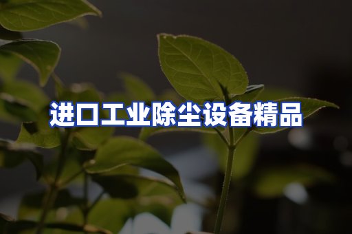 进口除尘设备