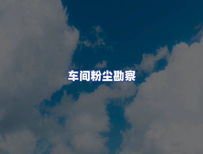 专业团队